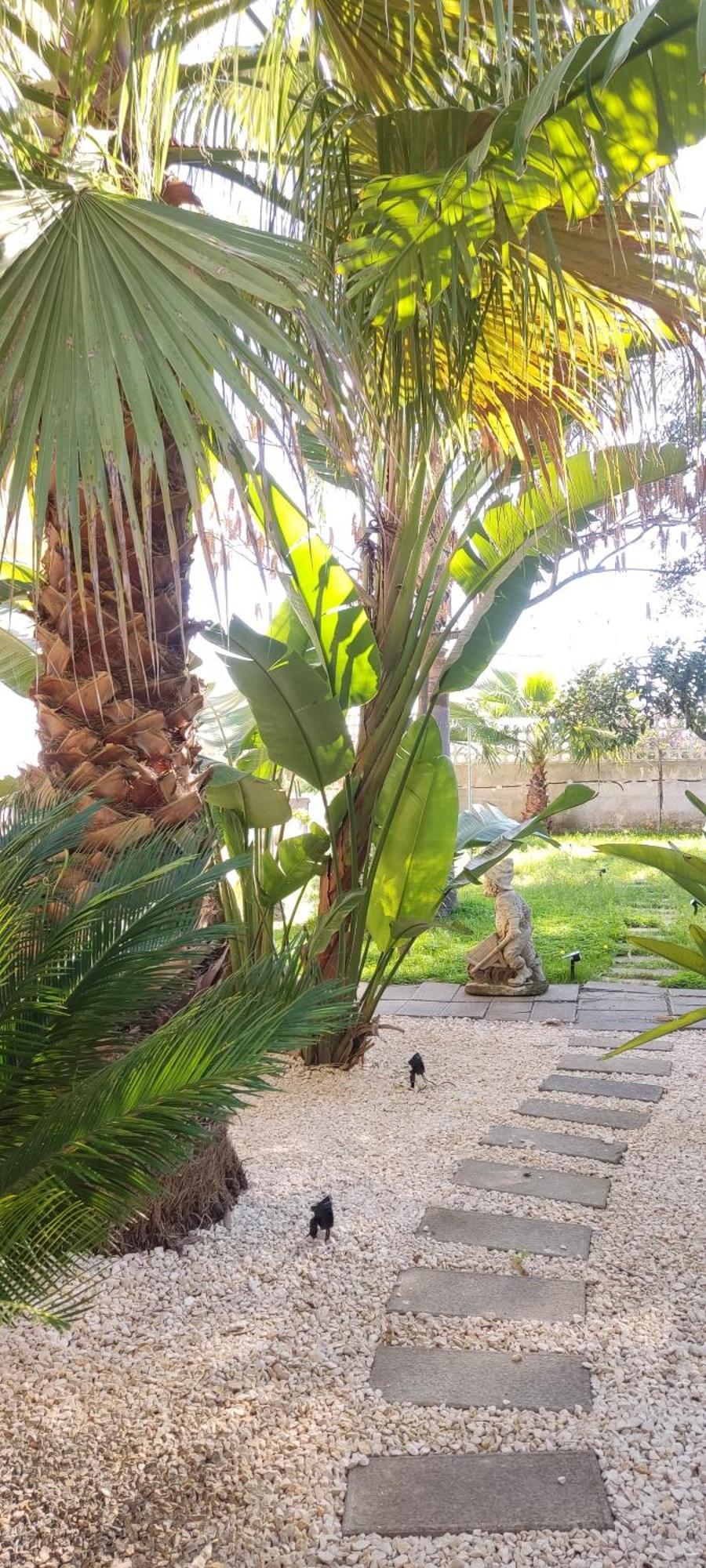 Maison Lido Silvana Pulsano Ngoại thất bức ảnh