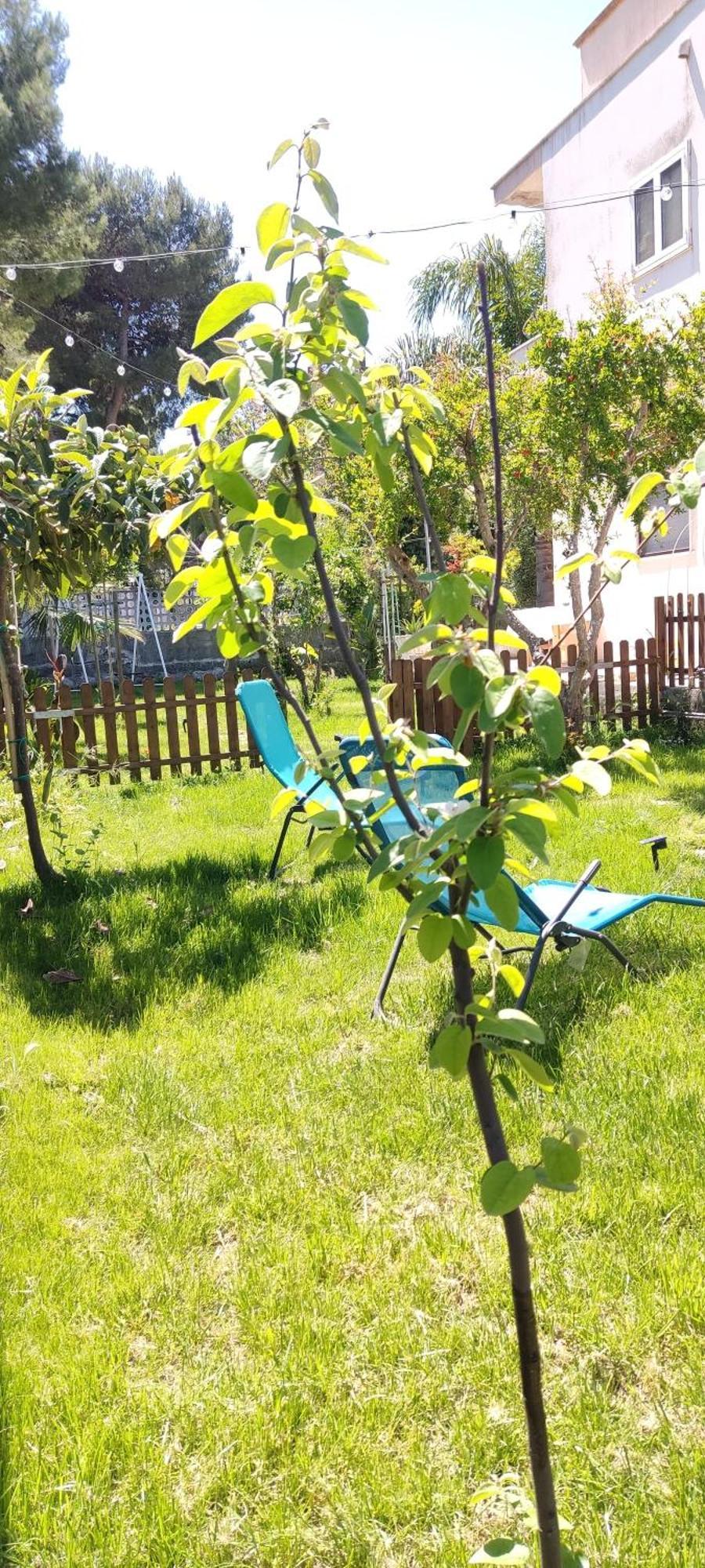 Maison Lido Silvana Pulsano Ngoại thất bức ảnh